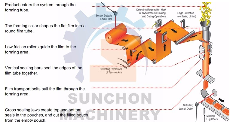 Discover the Advanced Components of Suntech’s Granular Pouch Packing Machines